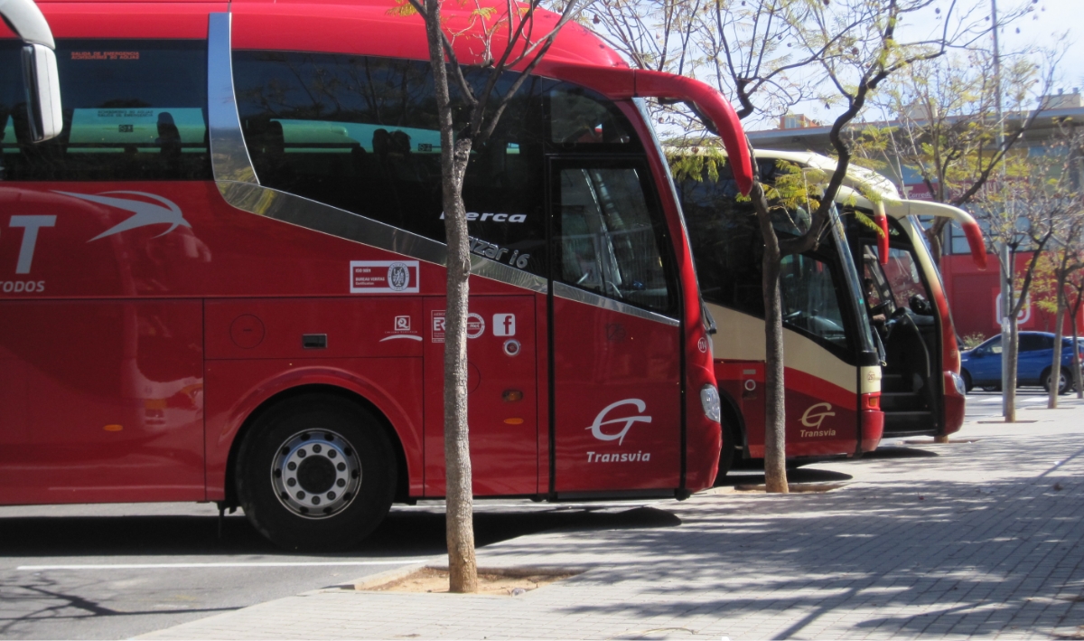 APAE Transporte